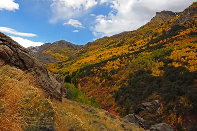 Lamoille Canyon Scenic Byway