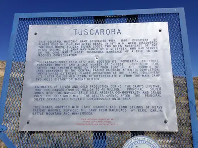 Tuscarora